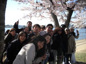 ILI students and the cherry blossoms